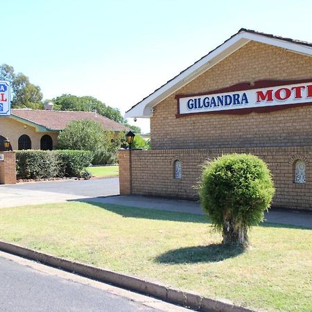 Gilgandra Motel Exterior photo