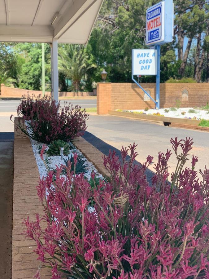 Gilgandra Motel Exterior photo